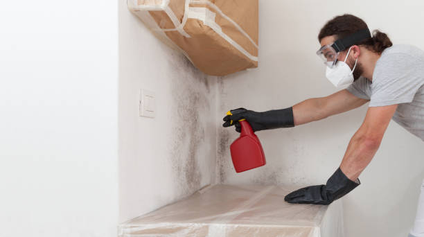 Professional Attic Mold Remediation technician working in Saint Benedict, PA