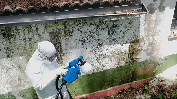 Top rated local Attic Mold Remediation specialists in Saint Benedict, PA